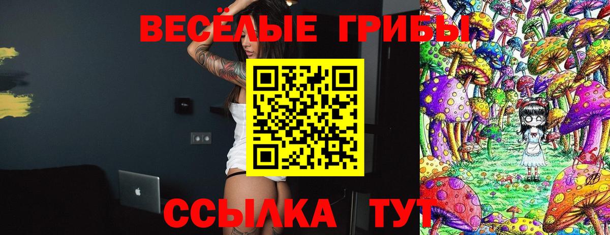 Канаш  Псилоцибиновые грибы мухоморы  Вход с VPN 