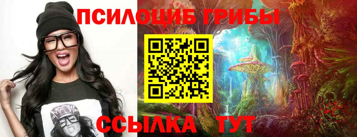 Галлюциногенные грибы Cubensis  Канаш 